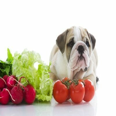 perro y verduras 1