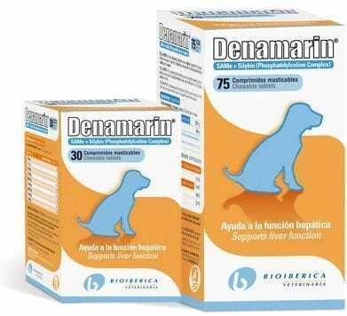 estoy de acuerdo con blanco lechoso Corta vida Sustitutos del Denamarin para perros enfermos del hígado