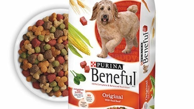 Beneful de outlet purina