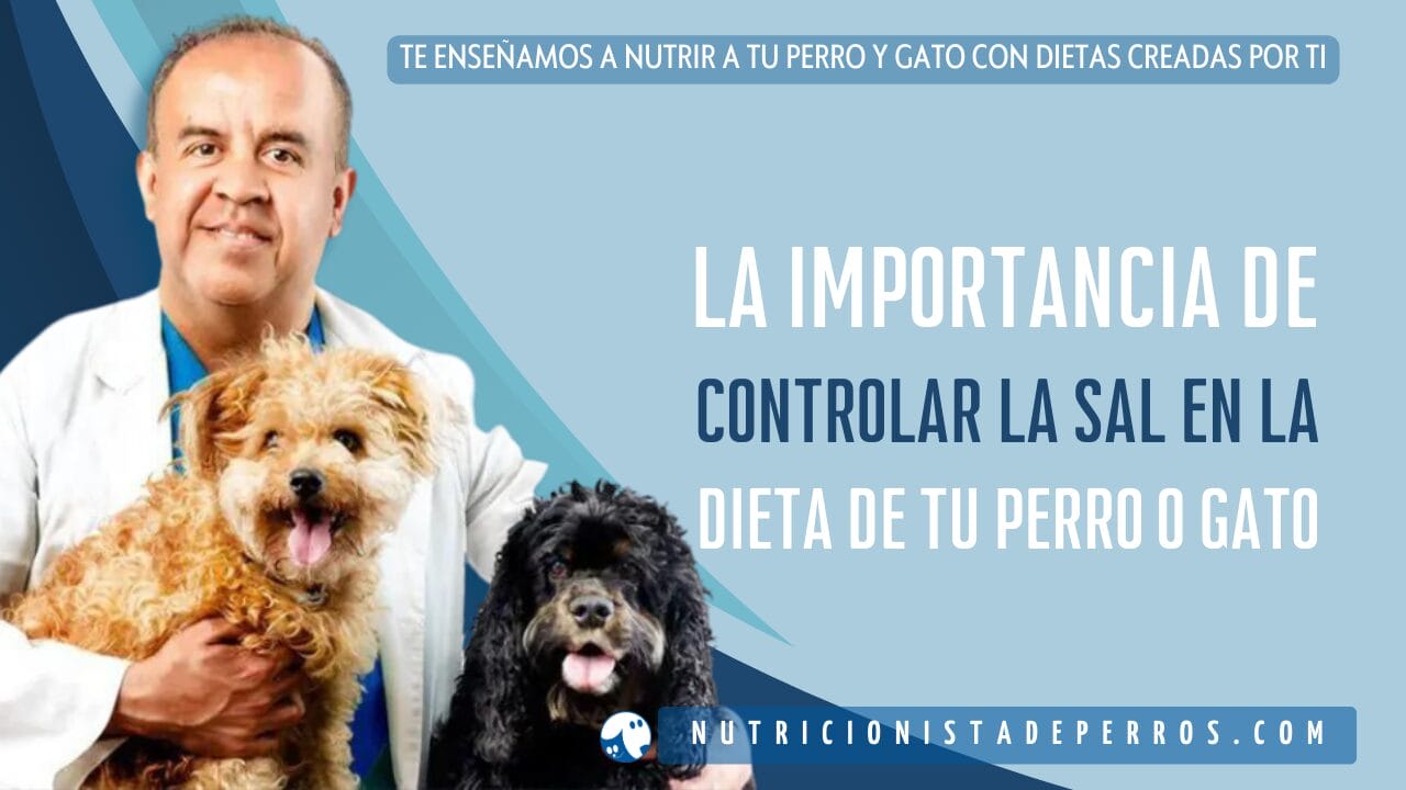 los perros pueden tener melaza