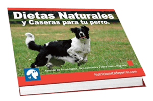 DietasNaturalesLPNov14 DietasNaturalesLPNov14
