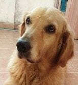 profile-pic