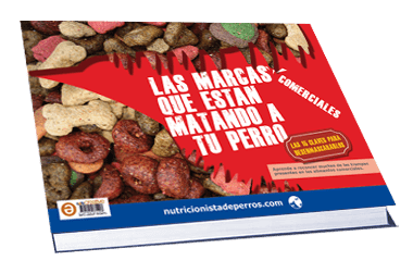 LasMarcasMatan-1 LasMarcasMatan-1