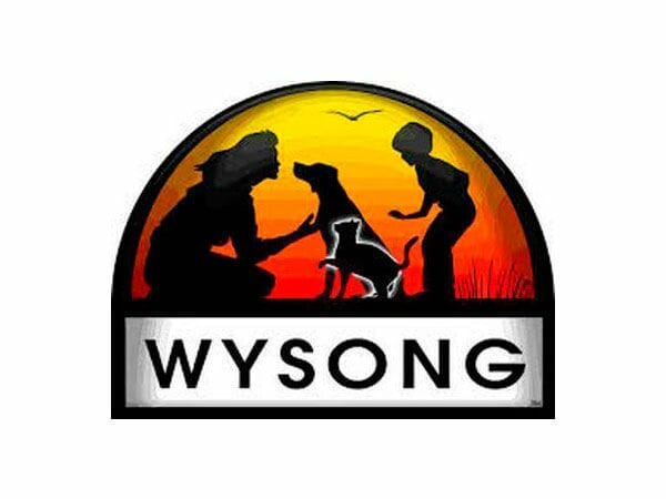 wysong-logo-600x450 wysong-logo-600x450