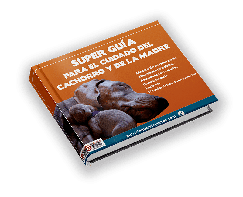 Libro-cachorros